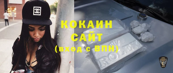 трава Корсаков