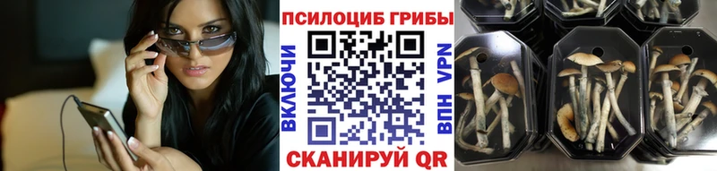 блэк спрут как войти  где купить наркоту  Калач  Галлюциногенные грибы мухоморы 